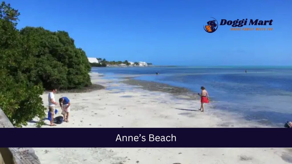Anne’s Beach