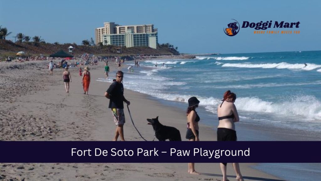 Fort De Soto Park – Paw Playground