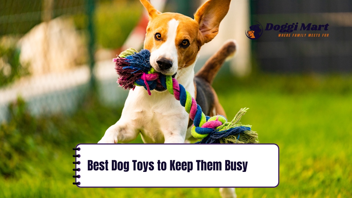 Best Dog Toys to Keep Them Busy