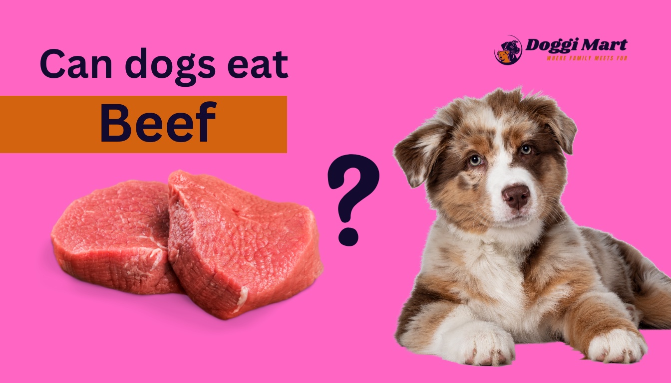 Can Dogs Eat Beef