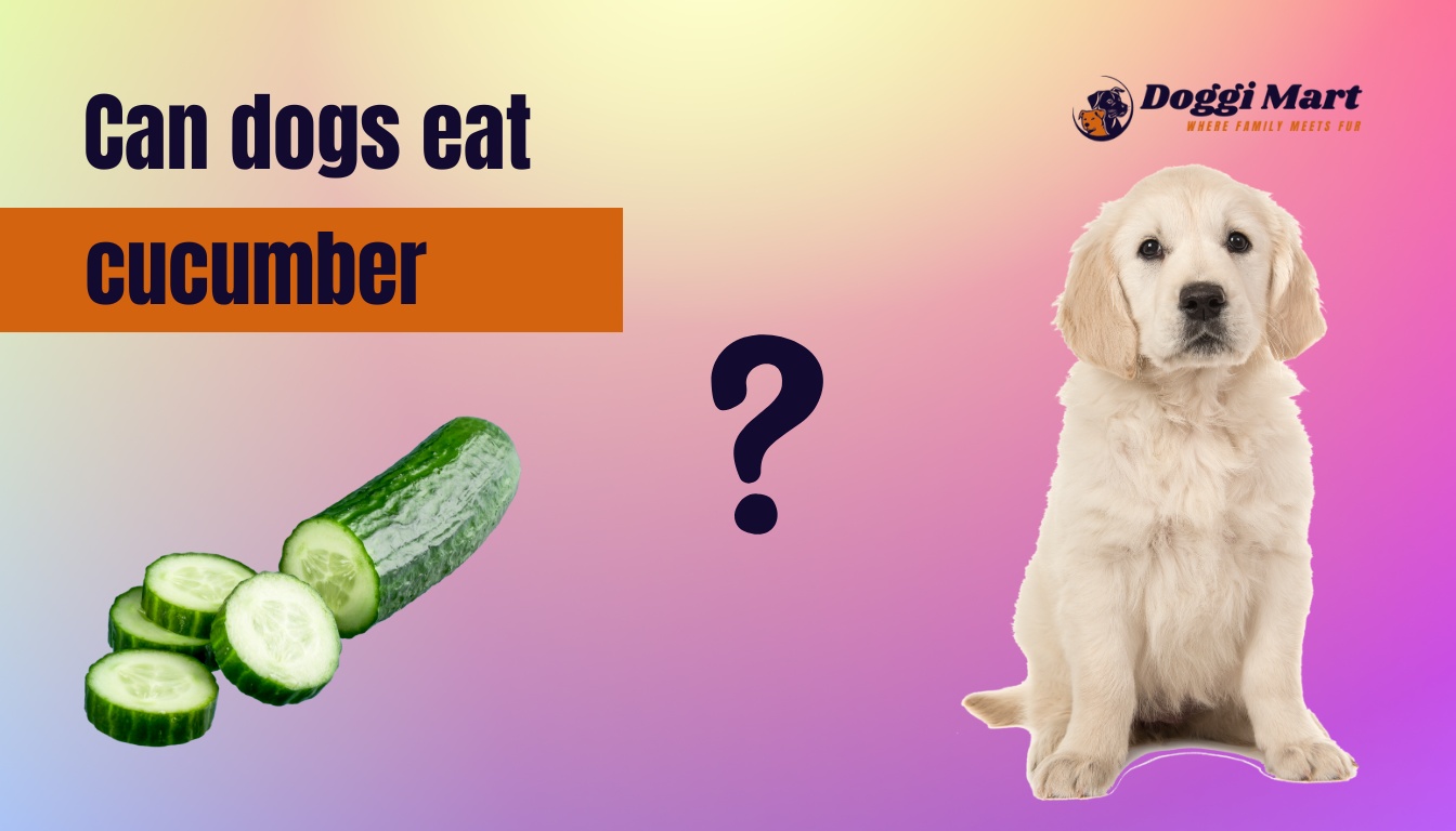Can dogs eat cucumber