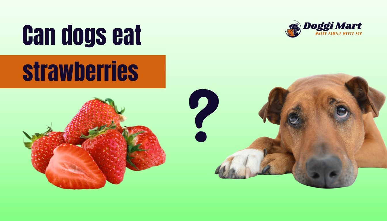 Can dogs eat strawberries