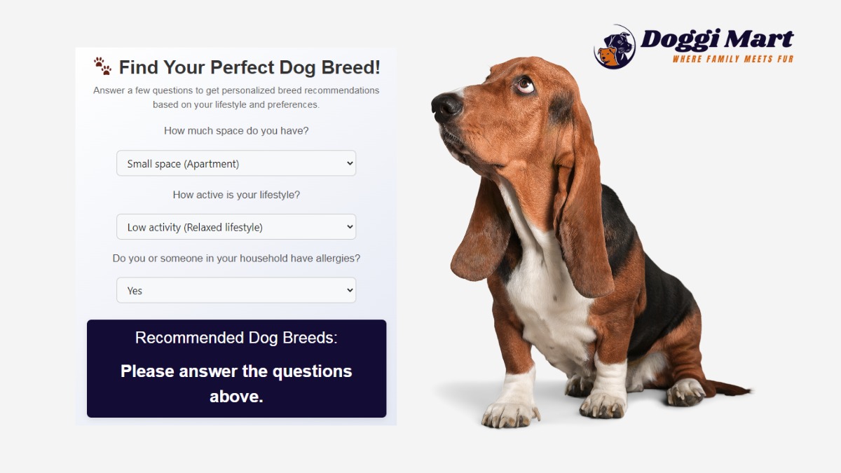 Dog Breed Selector Tool