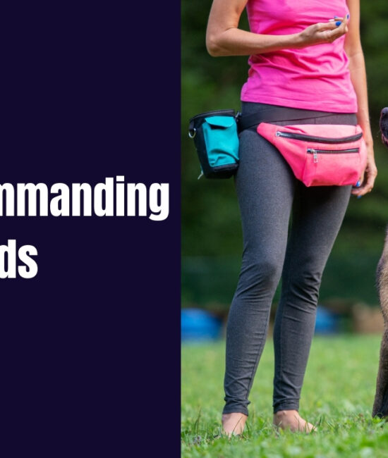 Most Commanding Dog Breeds